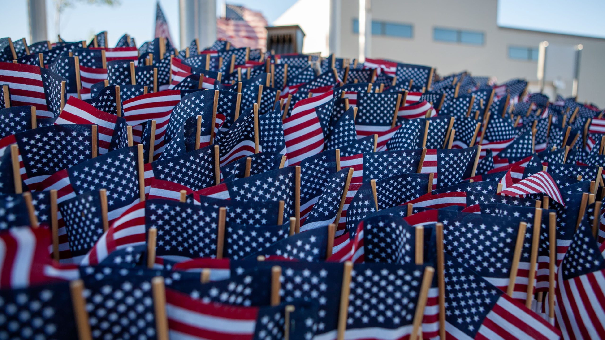 3000 flags placed in the ground representing those killed on 9/11