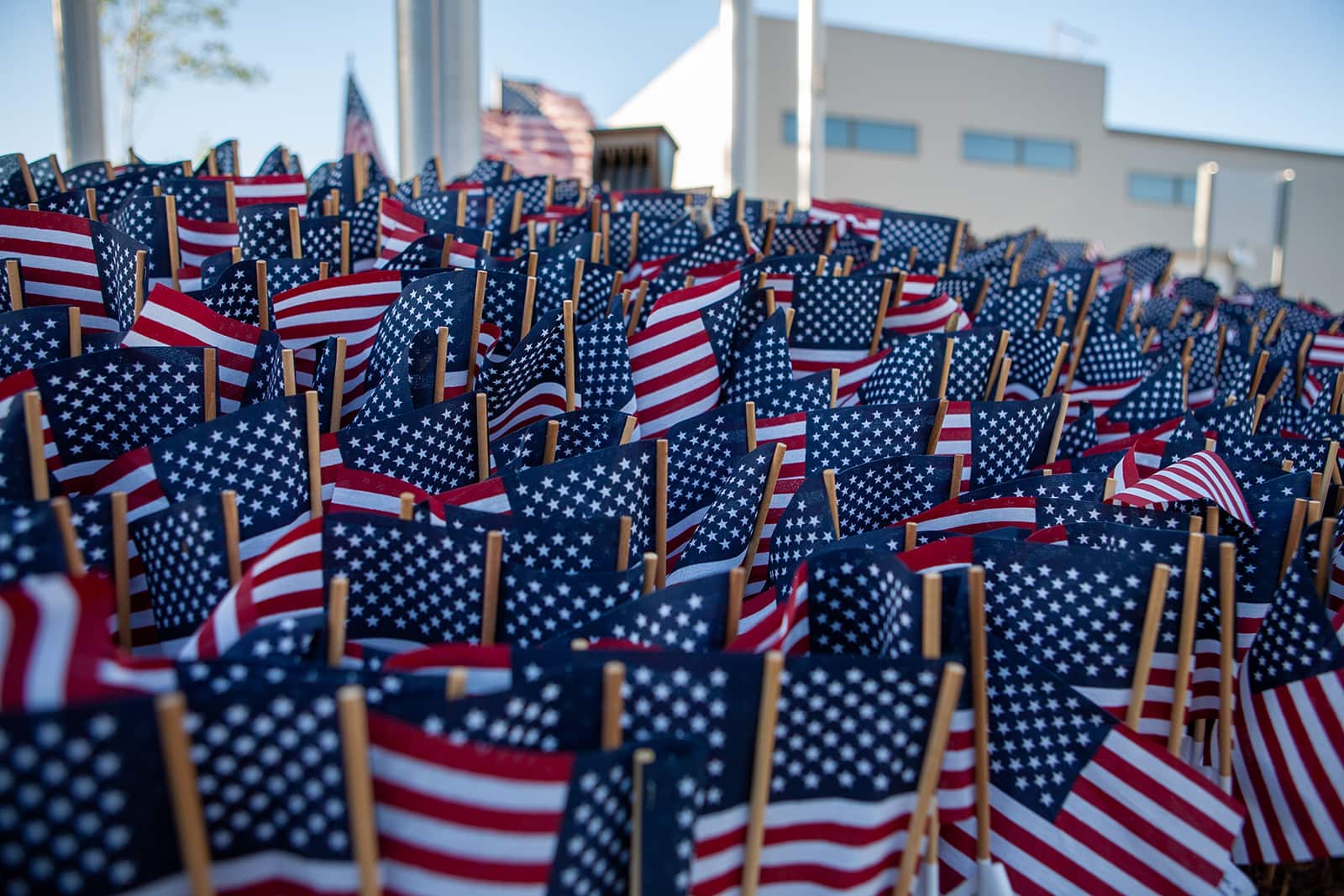 2,977 miniature flags representing those killed on September 11th 2001