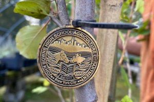 Survivor Tree medallion
